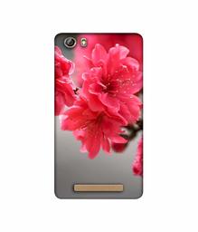 Amazon Brand - Solimo Designer Blossom Like Flower 3D Printed Hard Back Case Mobile Cover for Gionee Marathon M5 lite