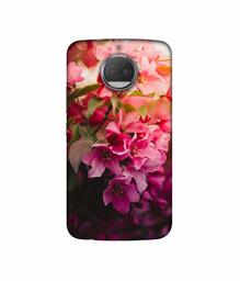 Amazon Brand - Solimo Designer Blossom Weather UV Printed Soft Back Case Mobile Cover for Motorola Moto G5S Plus