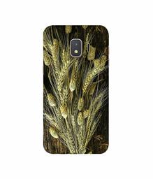 Amazon Brand - Solimo Designer Wheat Plants 3D Printed Hard Back Case Mobile Cover for Samsung Galaxy J2 Core