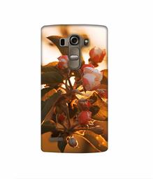 Amazon Brand - Solimo Designer Flowers 3D Printed Hard Back Case Mobile Cover for LG G4 Stylus