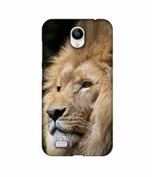 Amazon Brand - Solimo Designer Lion 3D Printed Hard Back Case Mobile Cover for Vivo Y21L