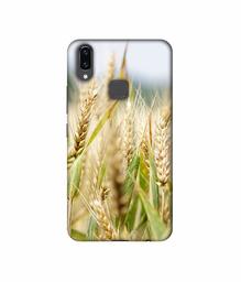 Amazon Brand - Solimo Designer Wheat Plant 3D Printed Hard Back Case Mobile Cover for Vivo V9 / V9 Pro