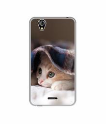 Amazon Brand - Solimo Designer Sleepy Kitten UV Printed Soft Back Case Mobile Cover for Gionee P5 Mini