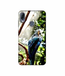 Amazon Brand - Solimo Designer Macaw Parrot 3D Printed Hard Back Case Mobile Cover for Asus Zenfone Max (M2) ZB633KL