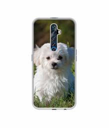 Amazon Brand - Solimo Designer White Dog UV Printed Soft Back Case Mobile Cover for Oppo Reno 2Z