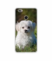 Amazon Brand - Solimo Designer White Dog UV Printed Soft Back Case Mobile Cover for Gionee M7 Power