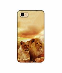 Amazon Brand - Solimo Designer Lion with Lioness 3D Printed Hard Back Case Mobile Cover for Asus Zenfone 3S Max