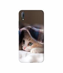 Amazon Brand - Solimo Designer Sleepy Kitten 3D Printed Hard Back Case Mobile Cover for Vivo V11 Pro