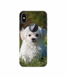 Amazon Brand - Solimo Designer White Dog 3D Printed Hard Back Case Mobile Cover for Apple iPhone Xs Max (Logo Cut)