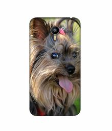 Amazon Brand - Solimo Designer Hairy Puppy 3D Printed Hard Back Case Mobile Cover for Meizu M2 Note