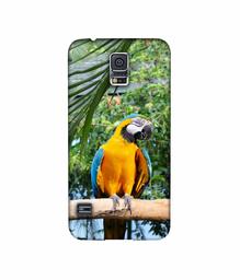 Amazon Brand - Solimo Designer Macaw Bird 3D Printed Hard Back Case Mobile Cover for Samsung Galaxy S5 i9600