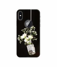 Amazon Brand - Solimo Designer Hanging Flowerpot 3D Printed Hard Back Case Mobile Cover for Apple iPhone Xs Max (Logo Cut)