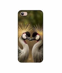 Amazon Brand - Solimo Designer Birds 3D Printed Hard Back Case Mobile Cover for Vivo Y81i