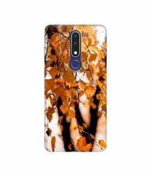 Amazon Brand - Solimo Designer Autumn Photography 3D Printed Hard Back Case Mobile Cover for Nokia 3.1 Plus