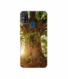 Amazon Brand - Solimo Designer Tree Trunk 3D Printed Hard Back Case Mobile Cover for Samsung Galaxy M31