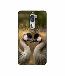 Amazon Brand - Solimo Designer Birds 3D Printed Hard Back Case Mobile Cover for Coolpad Cool1 Dual