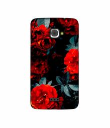 Amazon Brand - Solimo Designer Rose Photography 3D Printed Hard Back Case Mobile Cover for InFocus M350