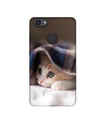 Amazon Brand - Solimo Designer Sleepy Kitten UV Printed Soft Back Case Mobile Cover for Vivo V7 Plus