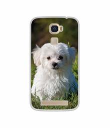 Amazon Brand - Solimo Designer White Dog UV Printed Soft Back Case Mobile Cover for Lyf Water 9