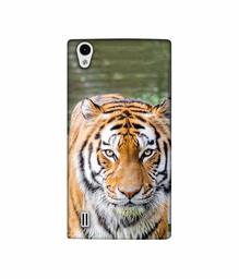 Amazon Brand - Solimo Designer Tiger in Water 3D Printed Hard Back Case Mobile Cover for VIVO Y15