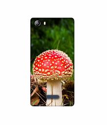 Amazon Brand - Solimo Designer Red Mushroom 3D Printed Hard Back Case Mobile Cover for Micromax Canvas 5 E481