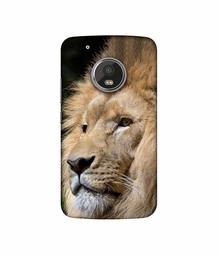 Amazon Brand - Solimo Designer Lion UV Printed Soft Back Case Mobile Cover for Motorola Moto G5 Plus