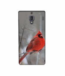 Amazon Brand - Solimo Designer Red Engry Bird 3D Printed Hard Back Case Mobile Cover for Xiaomi Redmi 1S