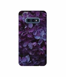 Amazon Brand - Solimo Designer Purple Flowers 3D Printed Hard Back Case Mobile Cover for Samsung Galaxy S10e