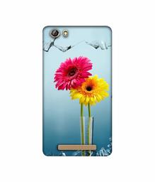 Amazon Brand - Solimo Designer Sun Flower 3D Printed Hard Back Case Mobile Cover for Gionee Marathon M5 lite