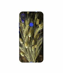 Amazon Brand - Solimo Designer Wheat Plants 3D Printed Hard Back Case Mobile Cover for Xiaomi Redmi Note 7 Pro