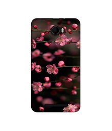 Amazon Brand - Solimo Designer Pink Flowers UV Printed Soft Back Case Mobile Cover for Karbonn K9 Viraat