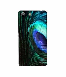 Amazon Brand - Solimo Designer Peacock Feather 3D Printed Hard Back Case Mobile Cover for Sony Xperia M5 Dual