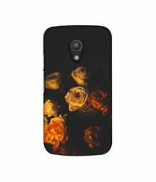 Amazon Brand - Solimo Designer Roses 3D Printed Hard Back Case Mobile Cover for Motorola Moto G 2nd Generation