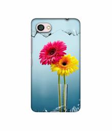 Amazon Brand - Solimo Designer Sun Flower 3D Printed Hard Back Case Mobile Cover for Xiaomi Redmi Y1 Lite