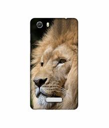 Amazon Brand - Solimo Designer Lion 3D Printed Hard Back Case Mobile Cover for Micromax Canvas Unite 3 Q372