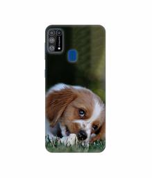 Amazon Brand - Solimo Designer Cute Puppy 3D Printed Hard Back Case Mobile Cover for Samsung Galaxy M31