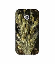 Amazon Brand - Solimo Designer Wheat Plants 3D Printed Hard Back Case Mobile Cover for Motorola Moto E 2nd Generation