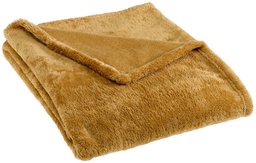 Pinzon 50 by 60-Inch Microtec Throw