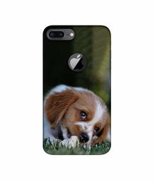 Amazon Brand - Solimo Designer Cute Puppy 3D Printed Hard Back Case Mobile Cover for Apple iPhone 8 Plus (with Logo Cut)