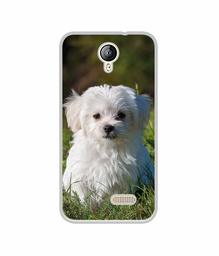 Amazon Brand - Solimo Designer White Dog UV Printed Soft Back Case Mobile Cover for Lephone W2