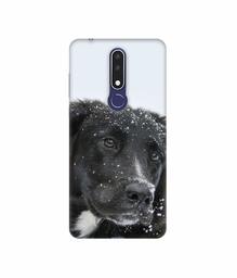 Amazon Brand - Solimo Designer Labrador Dog 3D Printed Hard Back Case Mobile Cover for Nokia 3.1 Plus