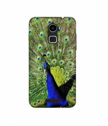 Amazon Brand - Solimo Designer Peacock 3D Printed Hard Back Case Mobile Cover for Coolpad Note 3 Lite