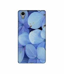 Amazon Brand - Solimo Designer Light Blue Flower Photography 3D Printed Hard Back Case Mobile Cover for Vivo Y51L