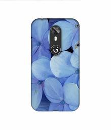 Amazon Brand - Solimo Designer Light Blue Flower Photography 3D Printed Hard Back Case Mobile Cover for Gionee A1