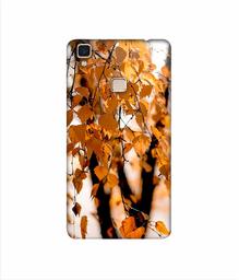 Amazon Brand - Solimo Designer Autumn Photography 3D Printed Hard Back Case Mobile Cover for Vivo V3 Max