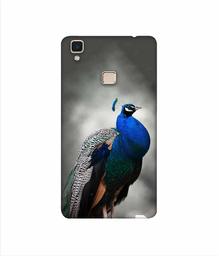 Amazon Brand - Solimo Designer Peacock 3D Printed Hard Back Case Mobile Cover for Vivo V3 Max