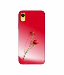 Amazon Brand - Solimo Designer Red Roses 3D Printed Hard Back Case Mobile Cover for Apple iPhone XR