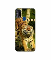 Amazon Brand - Solimo Designer Tiger 3D Printed Hard Back Case Mobile Cover for Samsung Galaxy M31