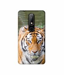 Amazon Brand - Solimo Designer Tiger in Water 3D Printed Hard Back Case Mobile Cover for Nokia 6.1 Plus