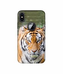 Amazon Brand - Solimo Designer Tiger in Water 3D Printed Hard Back Case Mobile Cover for Apple iPhone X (Logo Cut)